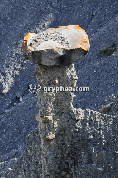 Cheminée des fées (Theus) - gryphea.org